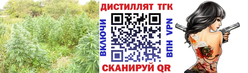 продажа наркотиков  дарк нет официальный сайт  Дистиллят ТГК гашишное масло  Алдан 