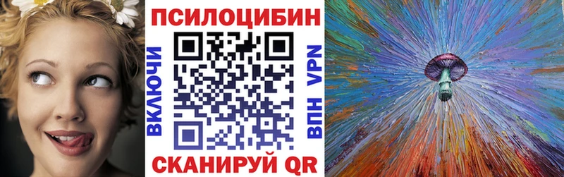 где купить Алдан Галлюциногенные грибы Psilocybine cubensis